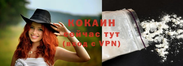 дмт Кодинск