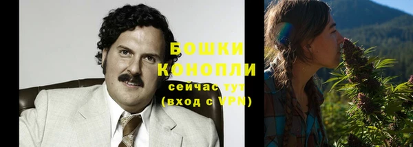 дмт Кодинск