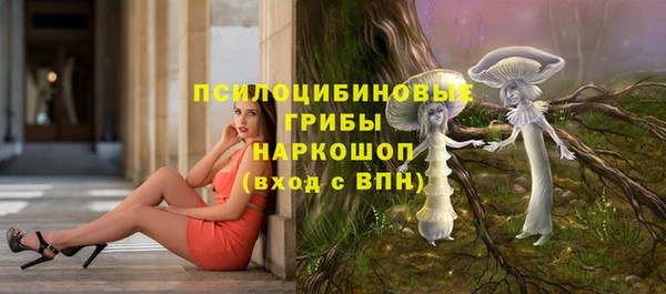 бошки Козловка