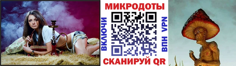 Купить  Суджа  Псилоцибиновые грибы MAGIC MUSHROOMS