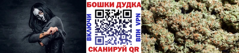 Купить где  Суджа  Марихуана семена